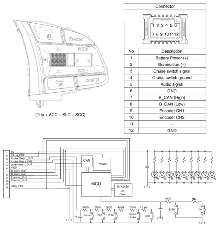 G13539197