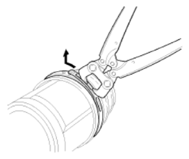 G13540274