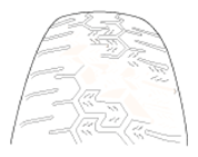 G13540416