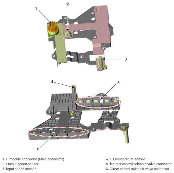 G13543901