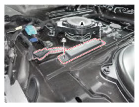 G13549788