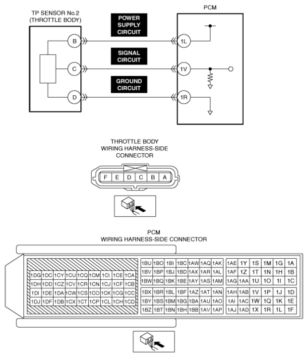 G13556148