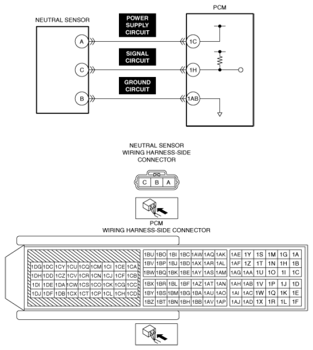 G13556203