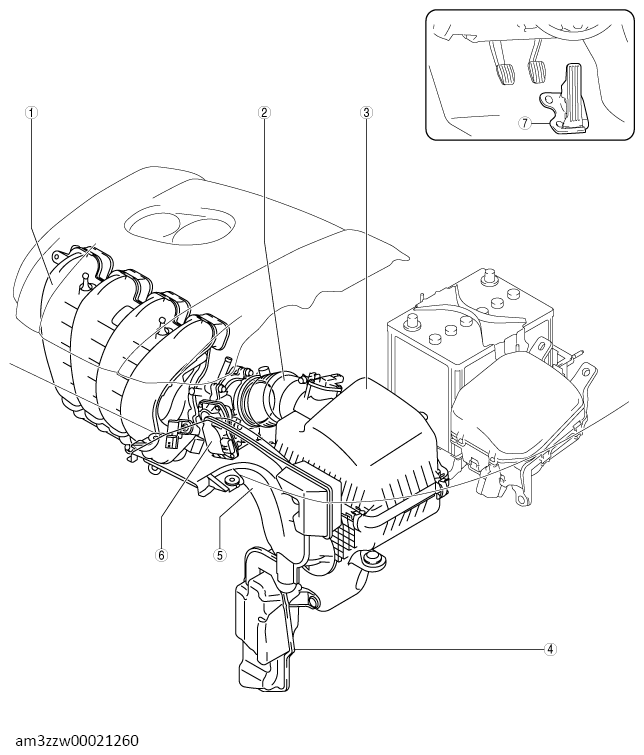 G13557119