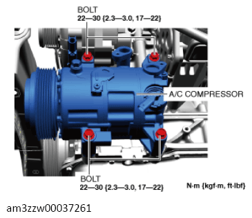 G13559117