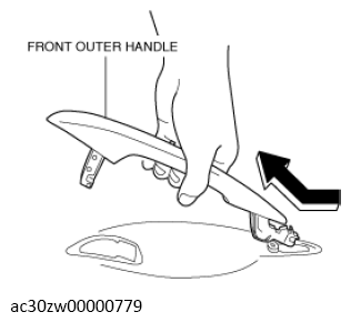 G13560294