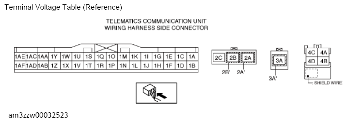 G13561229