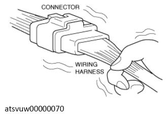 G13561577