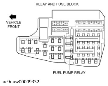 G13569794