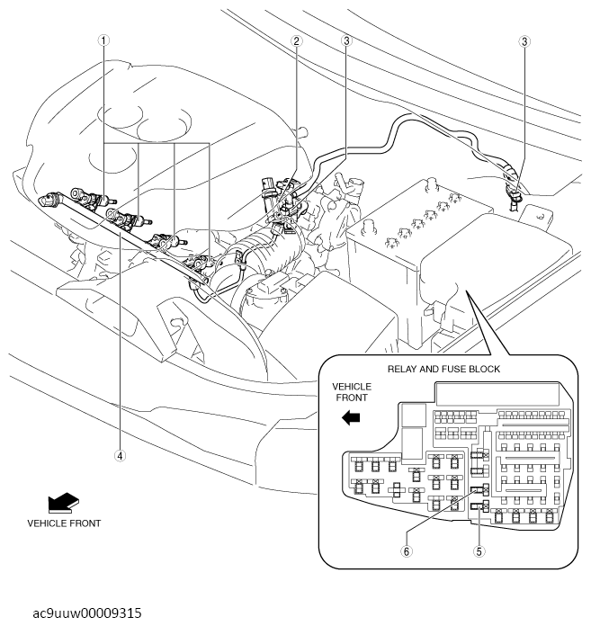 G13569838
