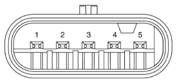 G13576044