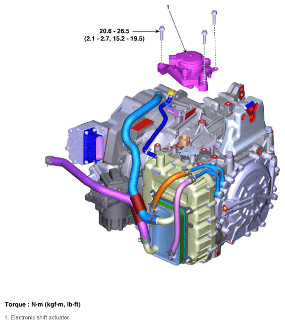 G13576349
