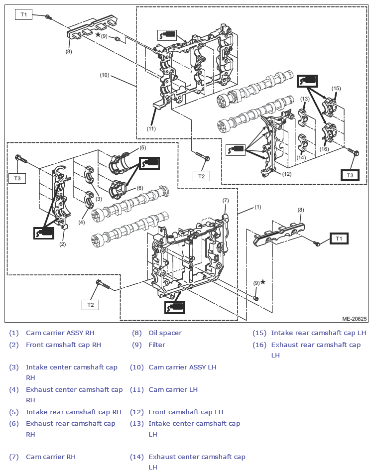 G13590558