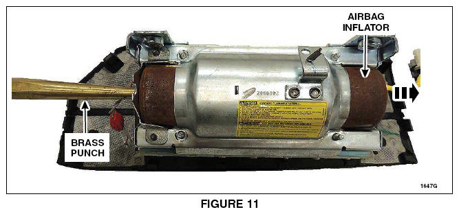 G13595331