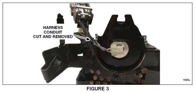 G13595359