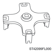 G13619525