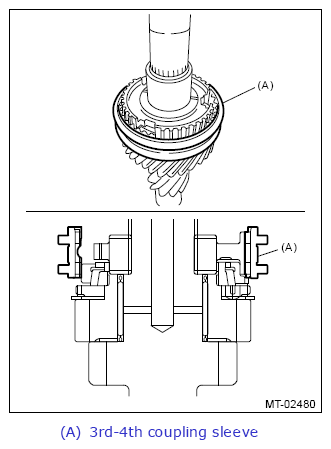 G13647791