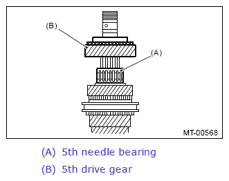 G13648126