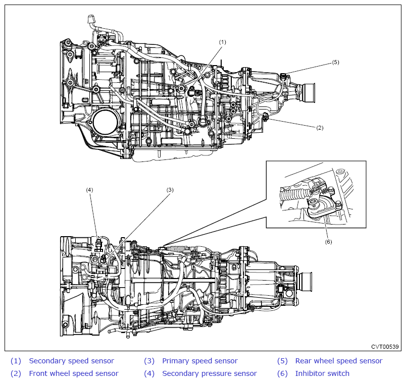 G13650761