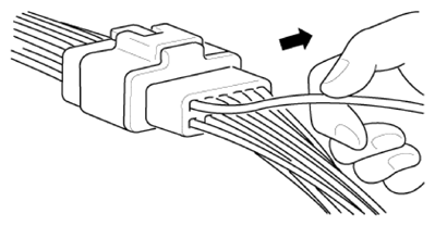 G13661034