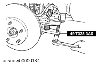 G13673262