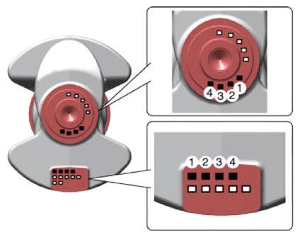 G13704076