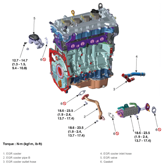 G13704324