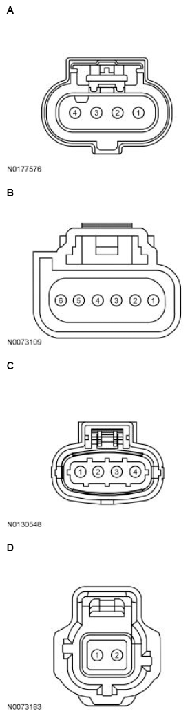 G13711286