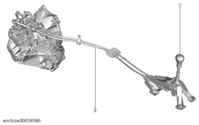 G13715395