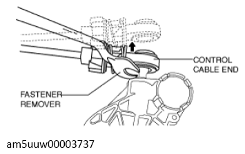 G13727374