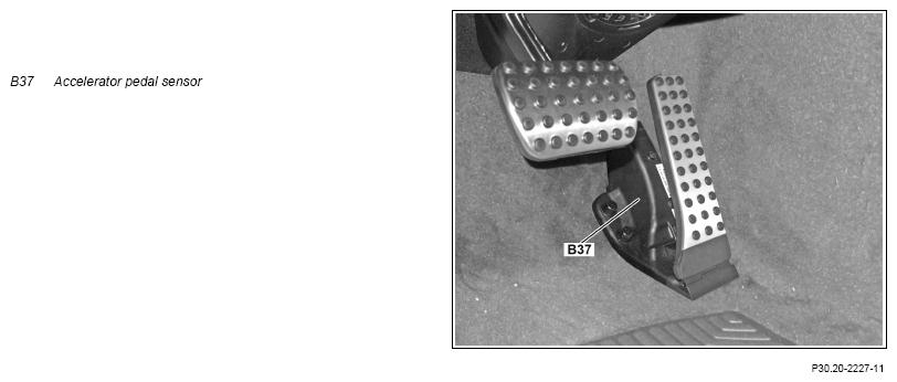 G13770260