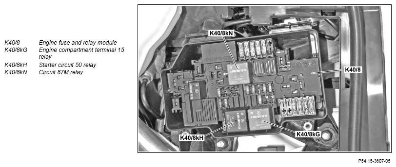 G13770261