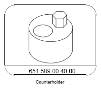 G13786281