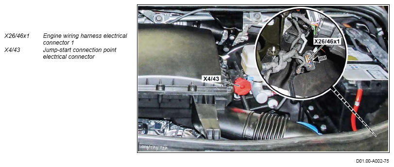 G13789121