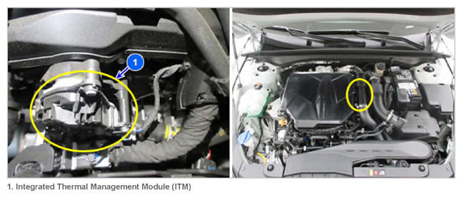 G13830052