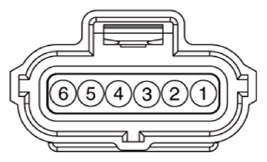 G13833848