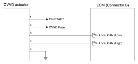 G13833888