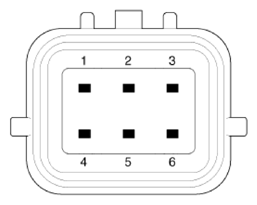 G13835179