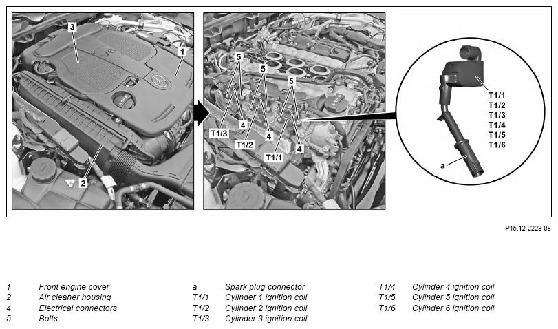 G13845496