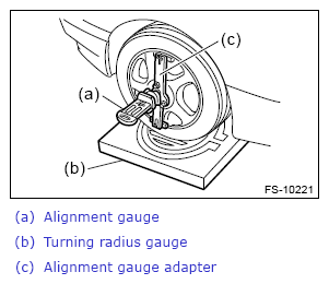 G13868496