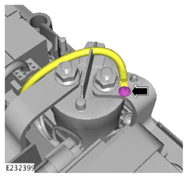 G13923655