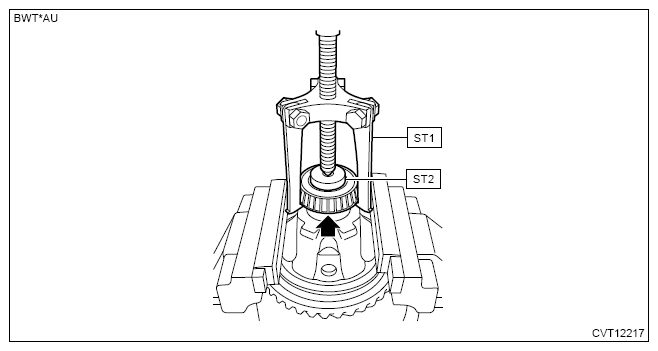 G13950881