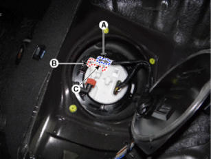G14175808