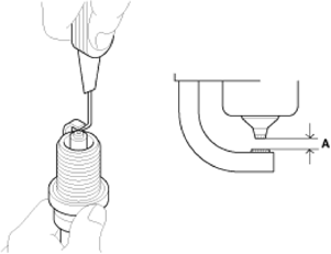 G14179136