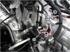 G14179523