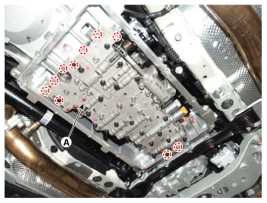 G14237496