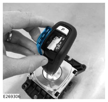 G14453484