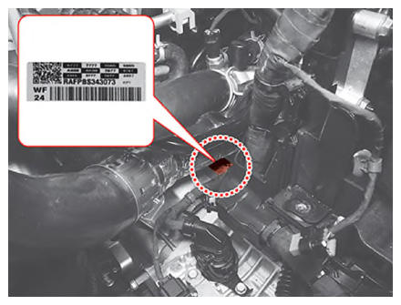 G14797654