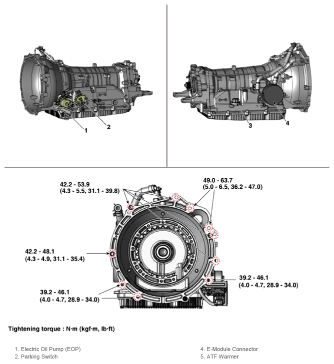 G14991058