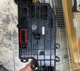 G15437484